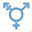 Eva Maxim on Trans Erotica